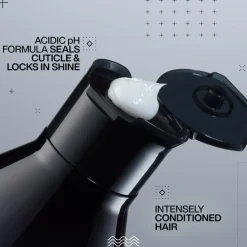 Acidic Color Gloss Conditioner