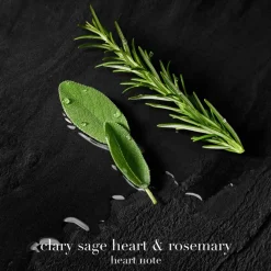 Acqua di Giò Parfum