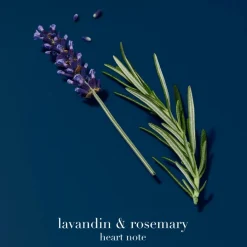 Acqua di Giò Profondo Eau de Parfum