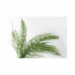 Aloe Mint Volume Shampoo