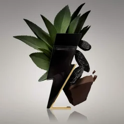 Bad Boy Eau de Toilette