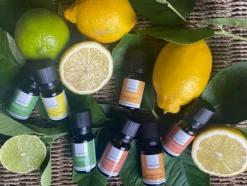 Bergamot Olie Økologisk