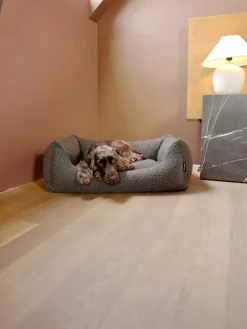 Billy Bouclé Hundeseng