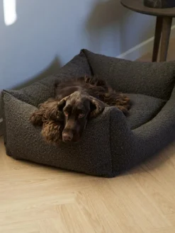 Billy Bouclé Hundeseng