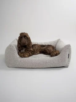 Billy Bouclé Hundeseng