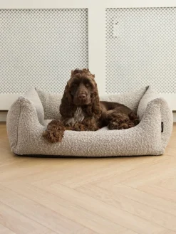 Billy Bouclé Hundeseng