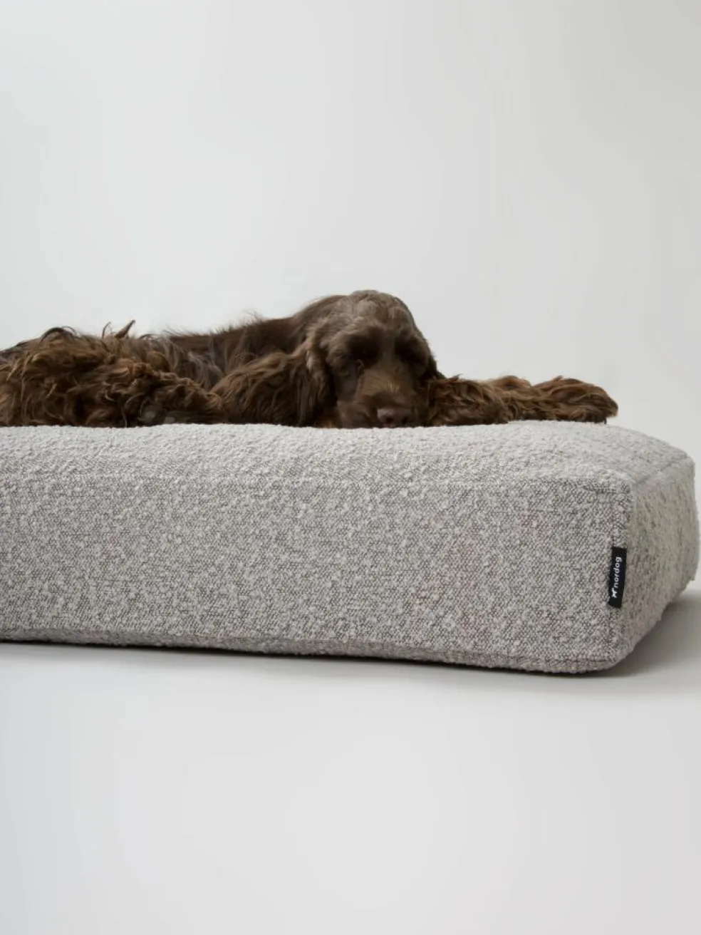 Billy Bouclé Mundepude