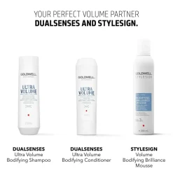 Bodifying Brilliance Mousse