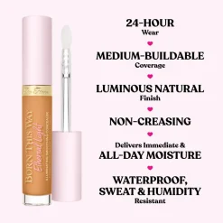 Born This Way Ethereal Light Concealer