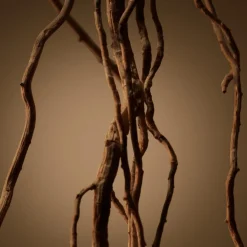 Bottled Eau de Parfum for Men