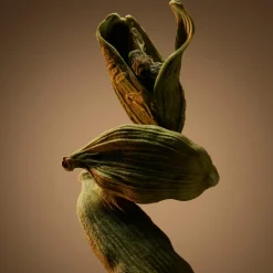 Bottled Eau de Parfum for Men