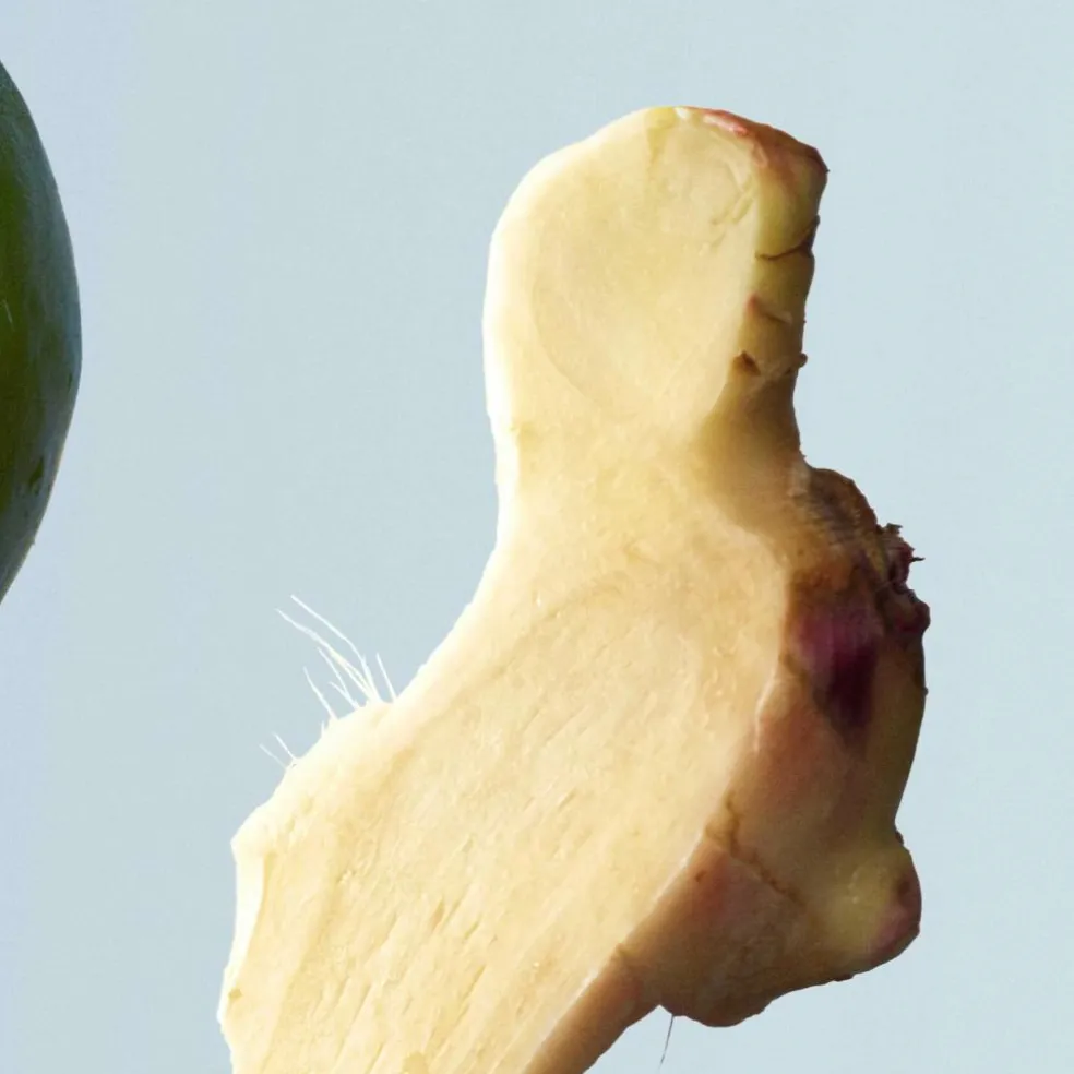 Bottled Tonic Eau de Toilette for Men