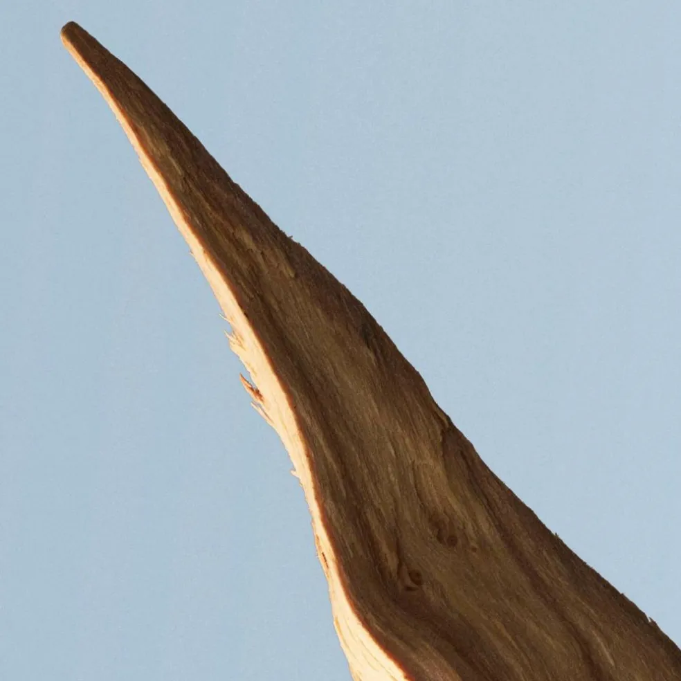 Bottled Tonic Eau de Toilette for Men