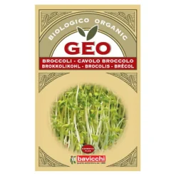 Broccolifrø til spiring Ø