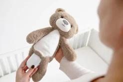 Brody the Bear Sleeptrainer