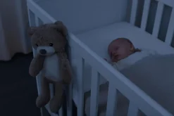 Brody the Bear Sleeptrainer