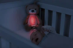 Brody the Bear Sleeptrainer