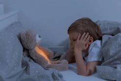 Brody the Bear Sleeptrainer