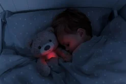 Brody the Bear Sleeptrainer