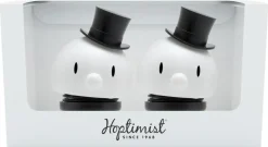 Brudegom og brudegom