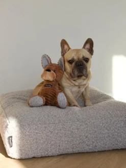 Bulldogen Tyson Hundebamse