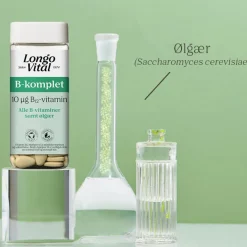 B-Vitamin - B-komplet, alle B-vitaminer + Ølgær