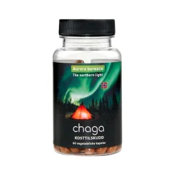 Chaga
