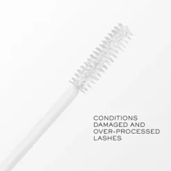 Cils Booster Mascarabase