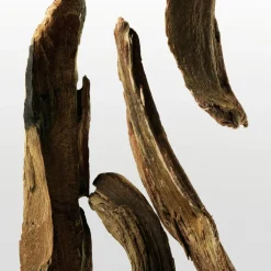 Ck One Essence Eau de Parfum