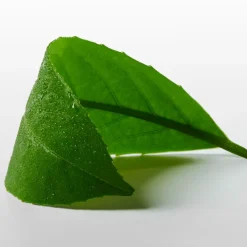 Ck One Essence Eau de Parfum