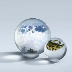 Coast Cypress & Sea Fennel Eau De Parfum