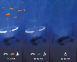 Cody the Crab Projector