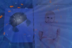 Cody the Crab Projector