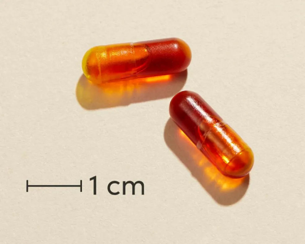 CurcuSym Boost® Kosttilskud