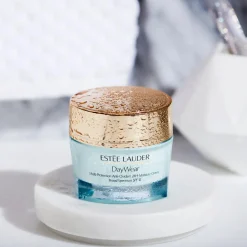 DayWear Anti-Oxidant Cream SPF 15 Normal/Combination