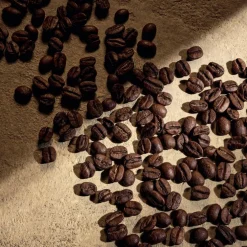 Devotion Pour Homme Parfum