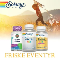 DinoSaurs vit. C-rex tygge børn