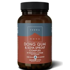 Dong Quai Soja Sprout