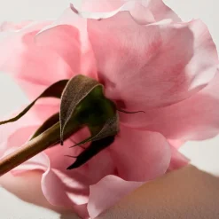 Eau de Parfum for Women