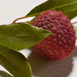 Eau de Parfum for Women