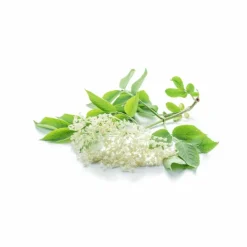 Elderflower Salt Spray