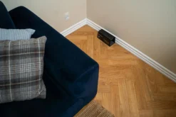 Elektrisk Rottefælde