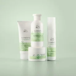 Elements Renewing Leave-in Spray