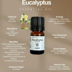 Eucalyptus Essential Oil