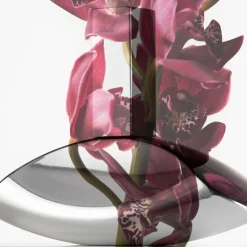 Euphoria Eau de Parfum