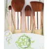 Face Brush Kit