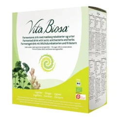 Fermenteret Drink med Mælkesyrebaktier Ingefær Ø