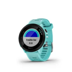Forerunner 55