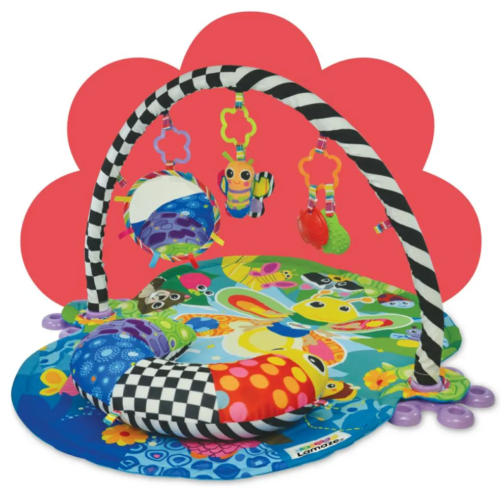 Freddie The Firefly Gym