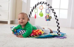 Freddie The Firefly Gym